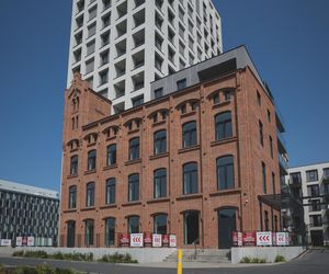 Najsłynniejszy plac zabaw w Polsce już bez gilotyny. OKAM zaprezentował Strefę PROGRESS
