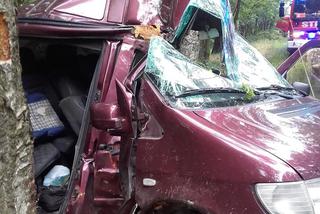 Groźny wypadek na drodze z Poznania [ZDJĘCIA]