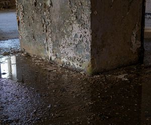 Osuszanie ścian. Jak odtworzyć hydroizolację poziomą i pozbyć się wilgoci?