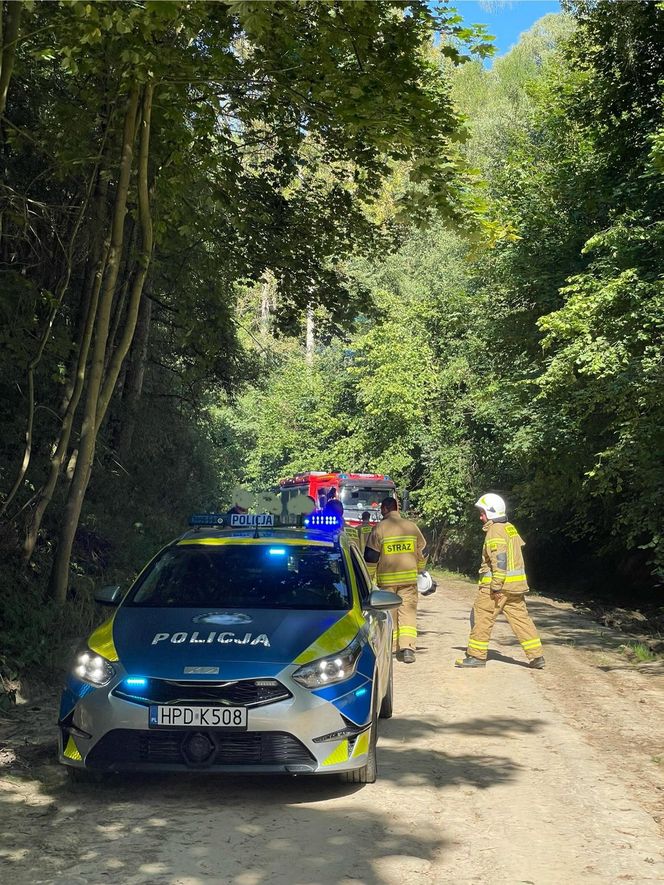 Dzierzkowice-Podwody – osunięcie ziemi na dzieci 