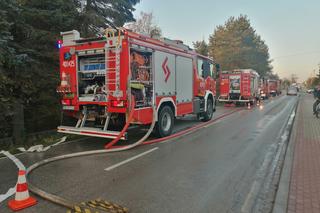 Tragiczny pożar w ośrodku jeździeckim. Dwa konie zginęły w płomieniach