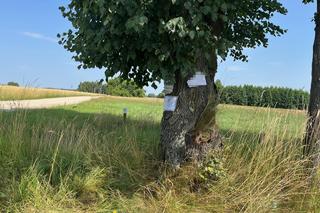 Dubów. Babcia zawołała Daniela na obiad. Doszło do masakry. Sąsiedzi: Zakała, chlał wódę na przystanku