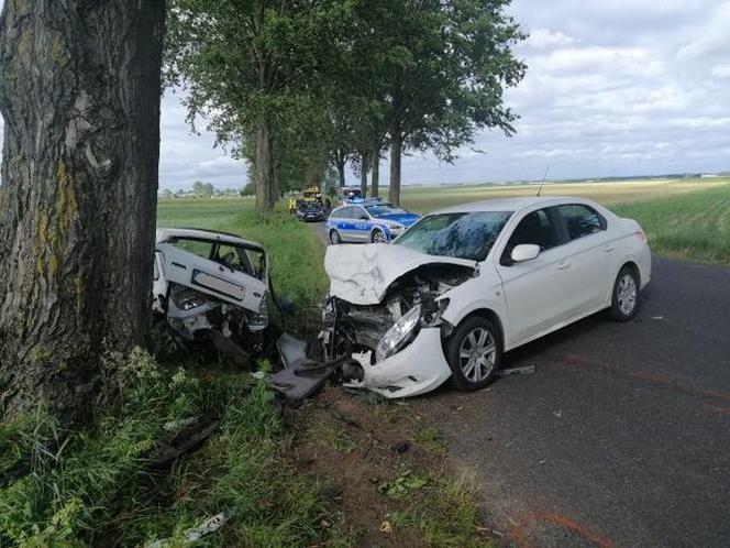 Wypadek w gminie Płośnica