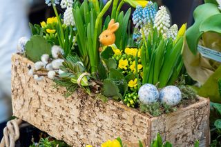 Kwiaty na Wielkanoc