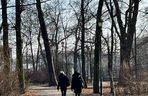 Zabytkowy Park Bronowicki w Lublinie czeka gruntowna rewitalizacja. Koszt? 8 milionów złotych