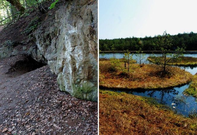 Kujawsko-Pomorskie niczym Bieszczady. Te krajobrazy w regionie koniecznie koniecznie musisz zobaczyć!