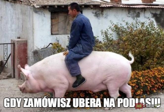 Najlepsze memy o Podlasiu. Zobacz najciekawsze memy o województwie podlaskim. Ubaw do łez!