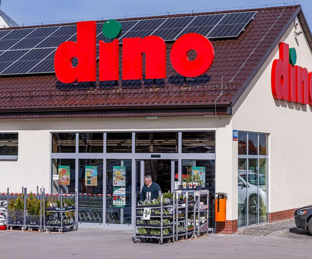 LEGO za mniej, niż 10 zł w Dino! Promocja na Dzień Dziecka