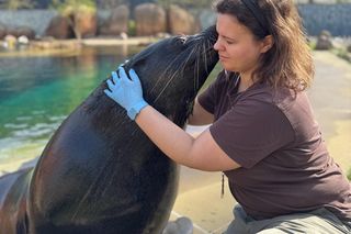 Robi torty dla fok i kotików w ZOO Wrocław. To bardziej skomplikowane niż myślimy