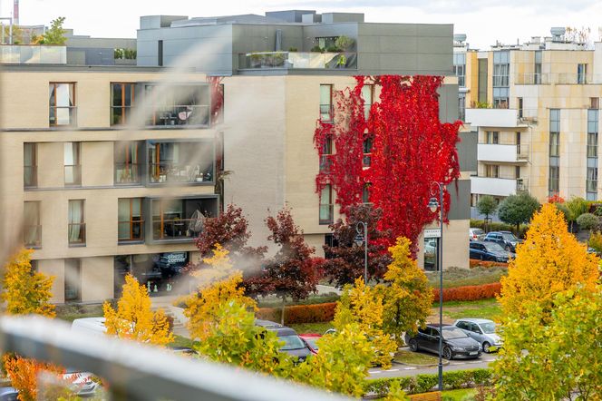 Jesienna metamorfoza balkonu