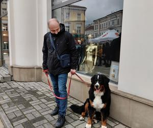 32. Finał Wielkiej Orkiestry Świątecznej Pomocy w Tarnowie