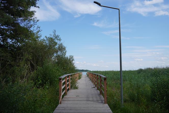 Podlaska Atlantyda, czyli Zalew Siemianówka i okolice