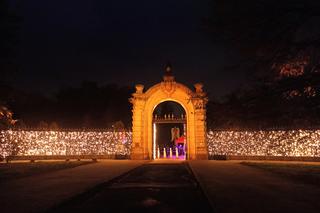Christmas Garden w zoo w Chorzowie jest zachwycający
