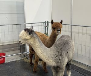 ZooPark w Lublinie. Dzień drugi