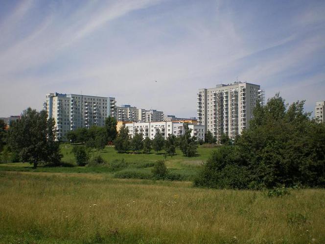 Warszawski Służew