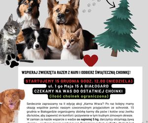 W Białogardzie „Karma wraca” w postaci choinki
