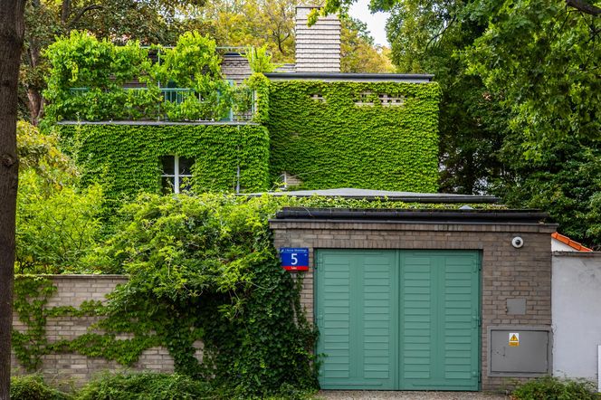 Willa Romualda Gutta na Kolonii Profesorskiej w Warszawie