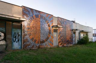 Wielkie czyszczenie mozaiki na Szpitalu Banacha - zdjęcia. Zniknęły bazgroły i chaszcze