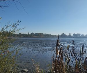 Policjanci kontynuują poszukiwania zaginionej Karoliny Wróbel