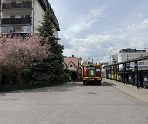 Tragedia w Ząbkach. Ciało kobiety leżało na chodniku. Na miejscu policja