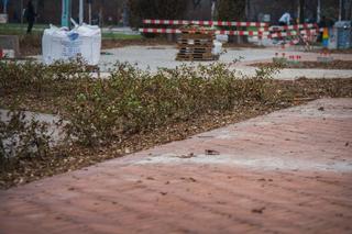 Jesienno-zimowe prace na Polu Mokotowskim