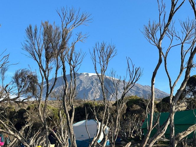 Petru na Kilimandżaro