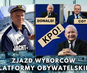 Afera KPO w memach: internauci kpią