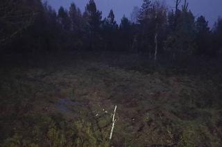 Lubelskie - nielegalni migranci na bagnach i nocna akcja służb