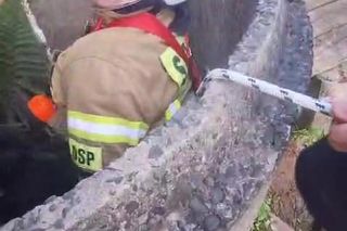 Pies wpadł do głębokiej studni. Na pomoc ruszyli strażacy