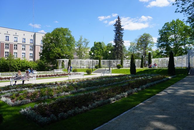 Różanka w Parku Planty po remoncie