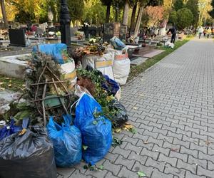 Piękna pogoda zachęcała do cmentarnych porządków