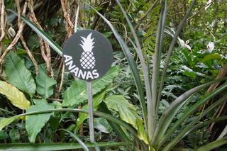 Palmiarnia w Poznaniu