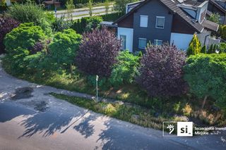 Drzewa do przesadzenia na północy Szczecina