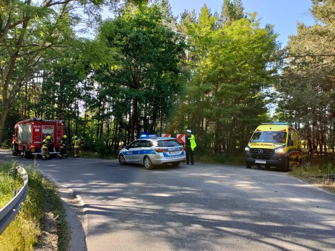 Wypadek pod Toruniem. Zakrwawiony kierowca wjechał autem w las