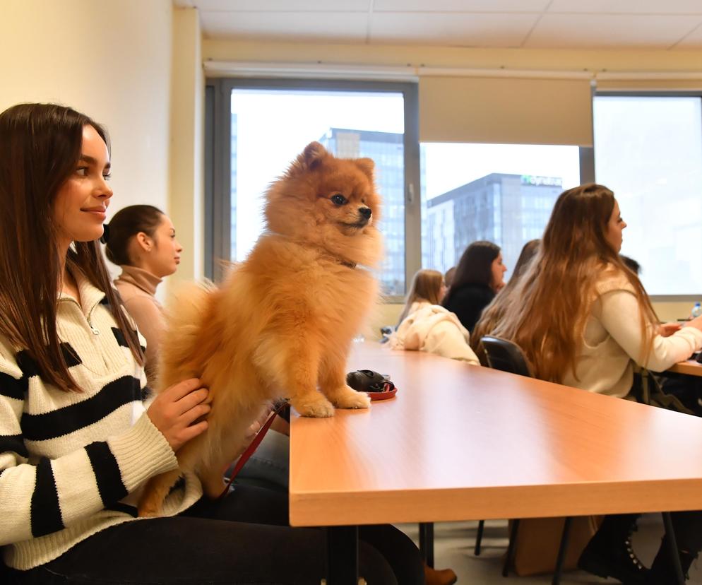 Z psem na Uniwersytet Gdański! Na uczelni trwa pilotażowy program