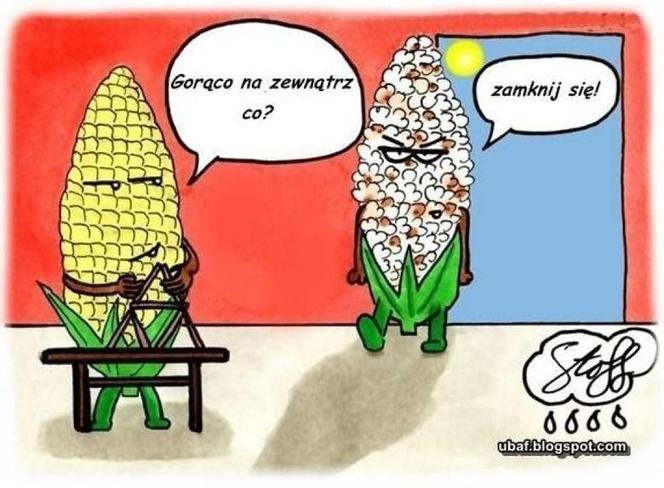Do Polski dotarła fala gorąca. Te memy na temat upalnych dni rozbawią wszystkich do łez!