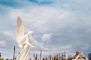 Justyna Steczkowska pokazała grób mamy. Widać go z połowy cmentarza.