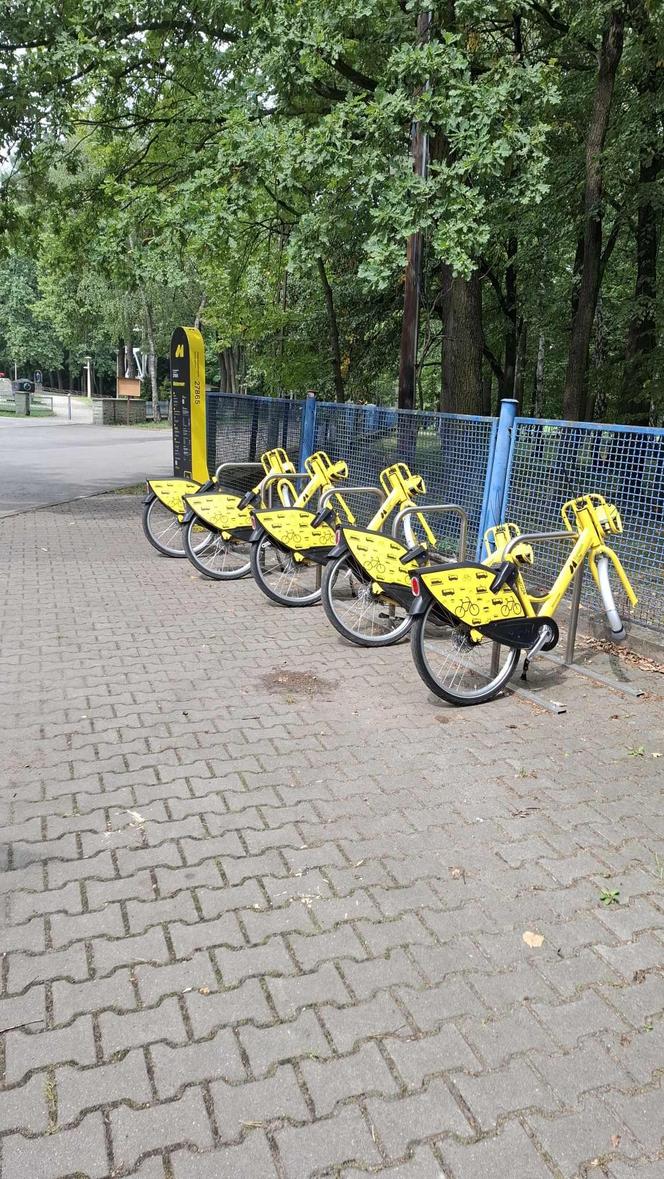 Wandale zniszczyli metrorowery w Zabrzu