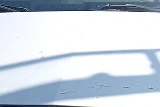 Mielno. Pijana wjechała autem do sklepu! [GALERIA]