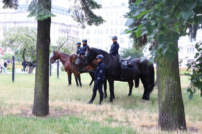 Protesty przeciwko migracji w całym kraju!