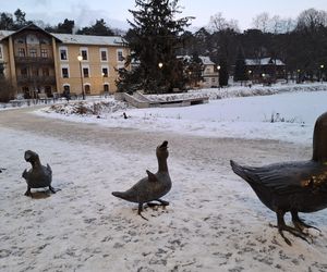 Nałęczów - Park Zdrojowy zimą