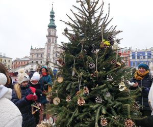  Zamojskie przedszkola i szkoły dekorowały choinki