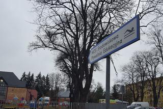 Pływali dla WOŚP w Lesznie