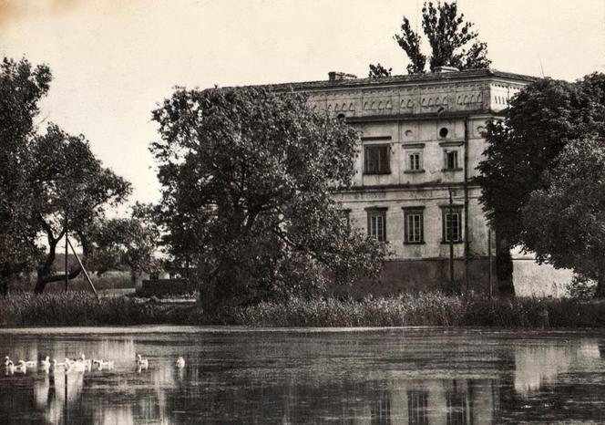 Zamek w Czemiernikach