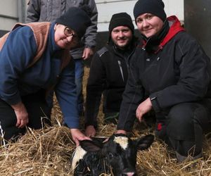 To nowi bohaterowie serialu Rolnicy. Podlasie. Kim są Ewelina i Wojtek ze wsi Miecze?