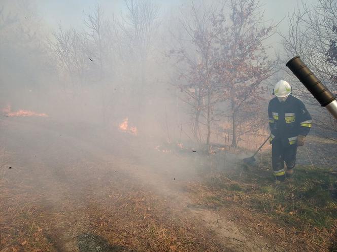 Potężny pożar na Śląsku! Strażacy kilka godzin walczyli z ogniem