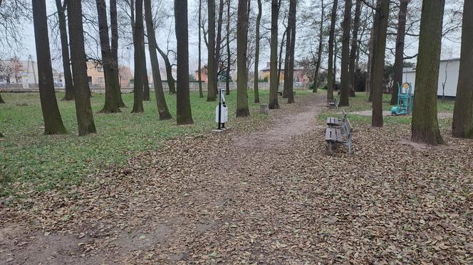 Park przy ulicy Gronowskiej w Lesznie