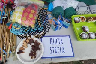 Adoptuj warszawiaka 17.03