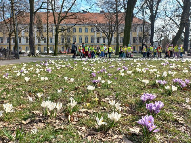 W Parku Kościuszki w Lesznie powitano wiosnę