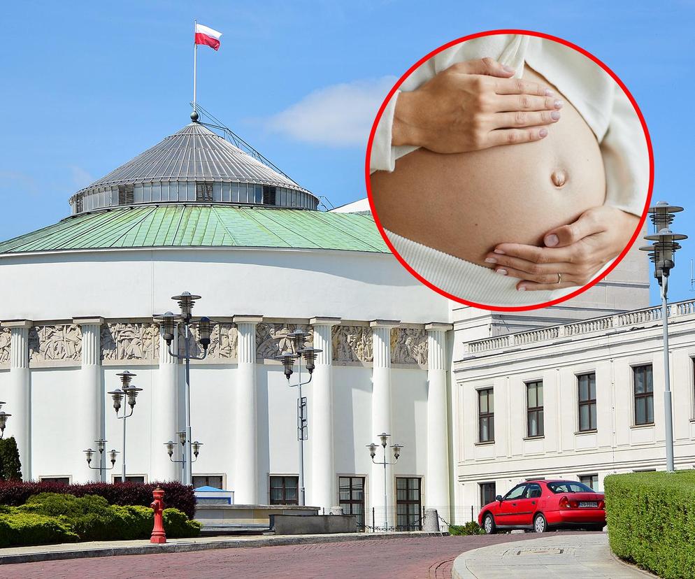 Sejm zdecydował o in vitro 